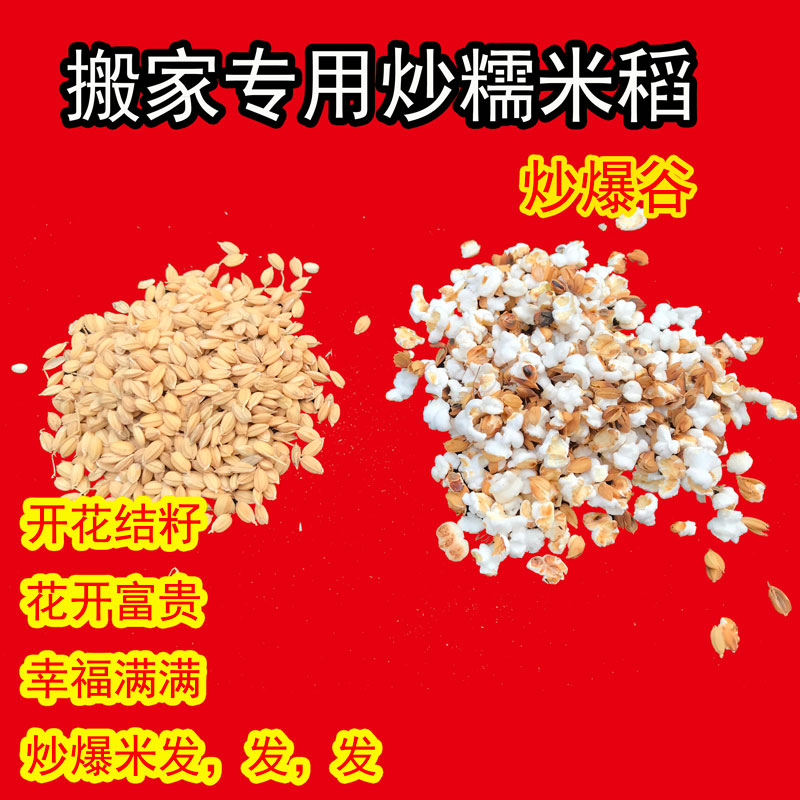 糯米谷搬家入伙专用糯米粘稻子带壳糯谷糯稻糯谷子婚庆乔迁新居