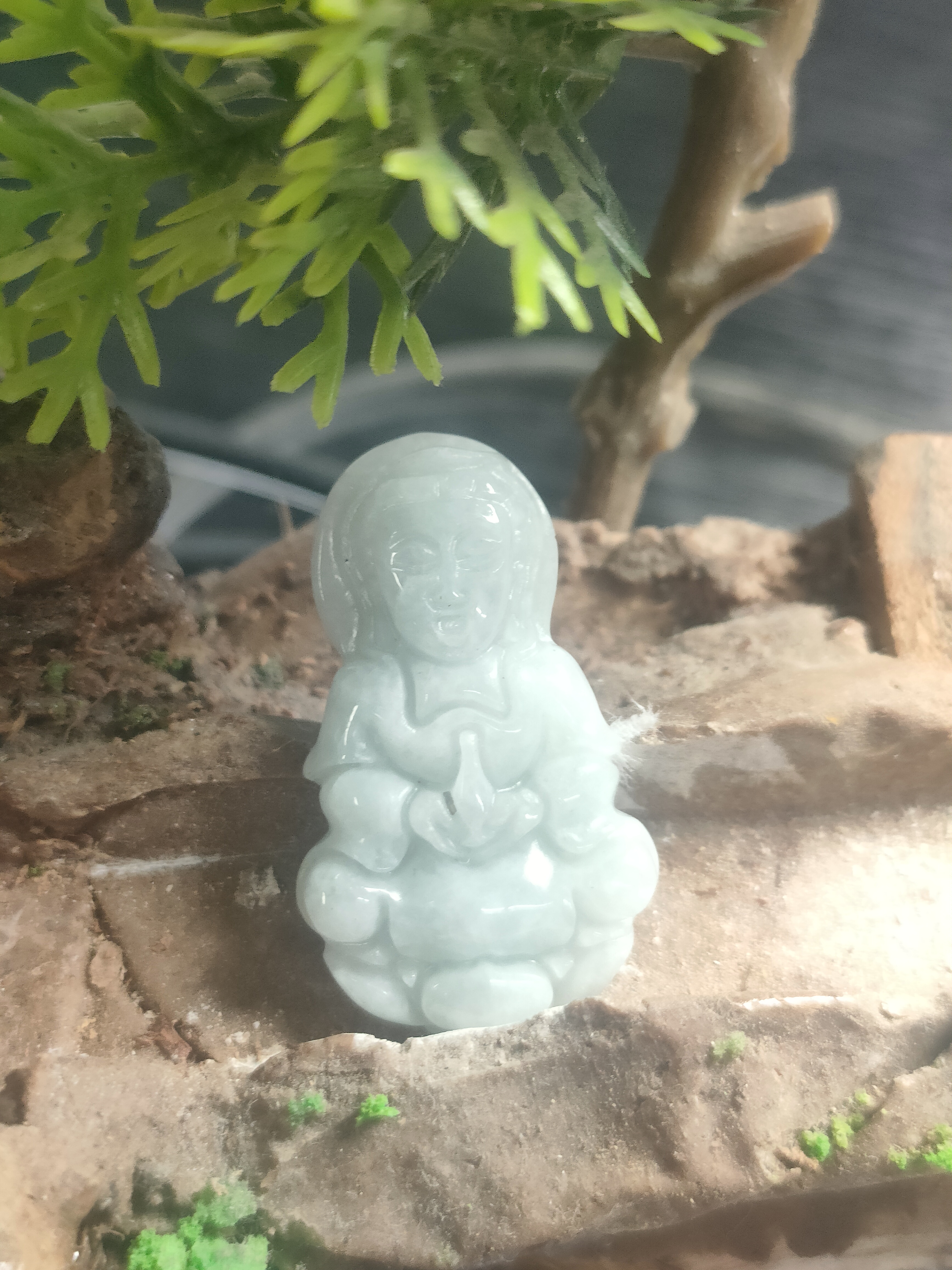 天然缅甸翡翠a货，直播间68专拍链接，拍完联系客服