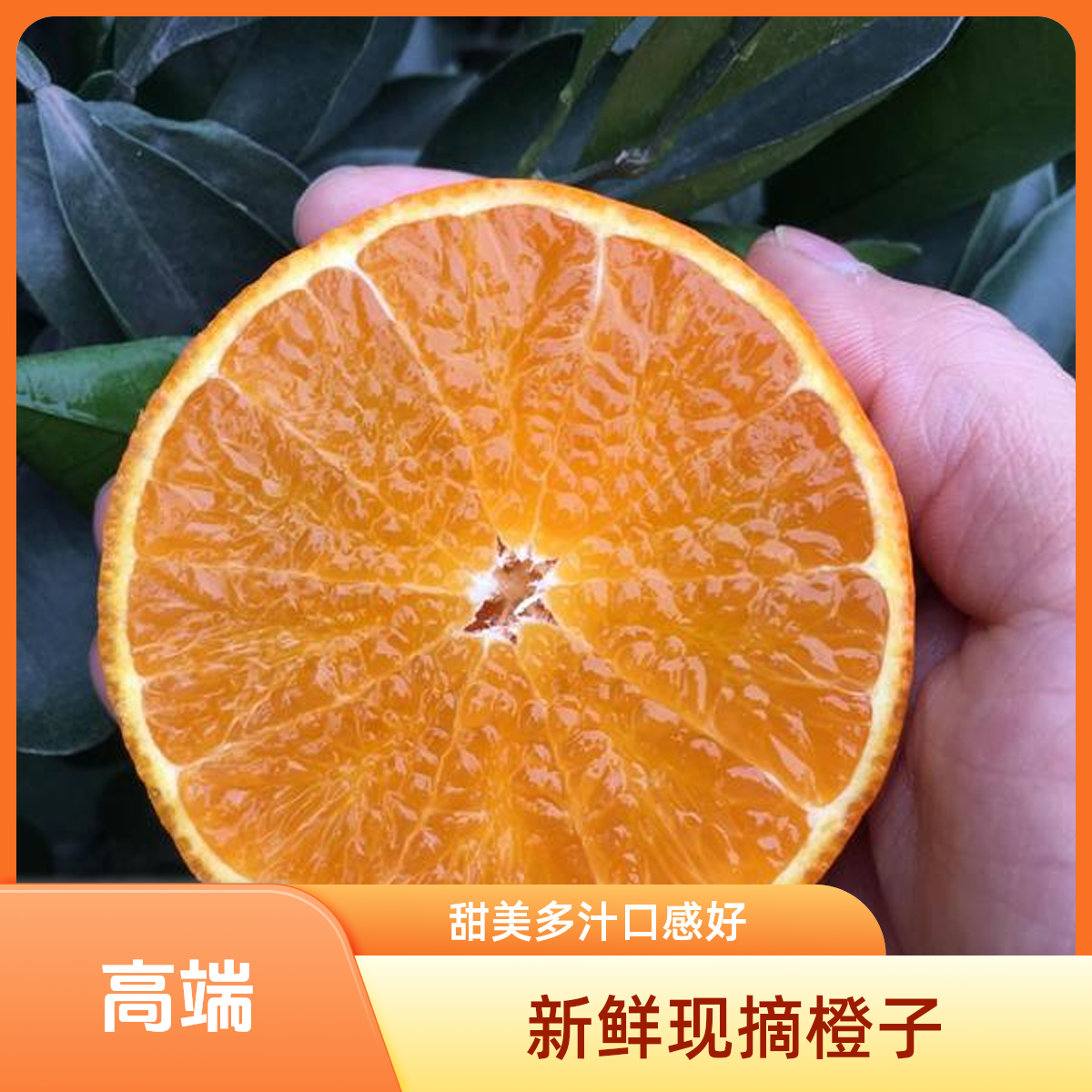 爱媛果冻橙三斤【好东西】