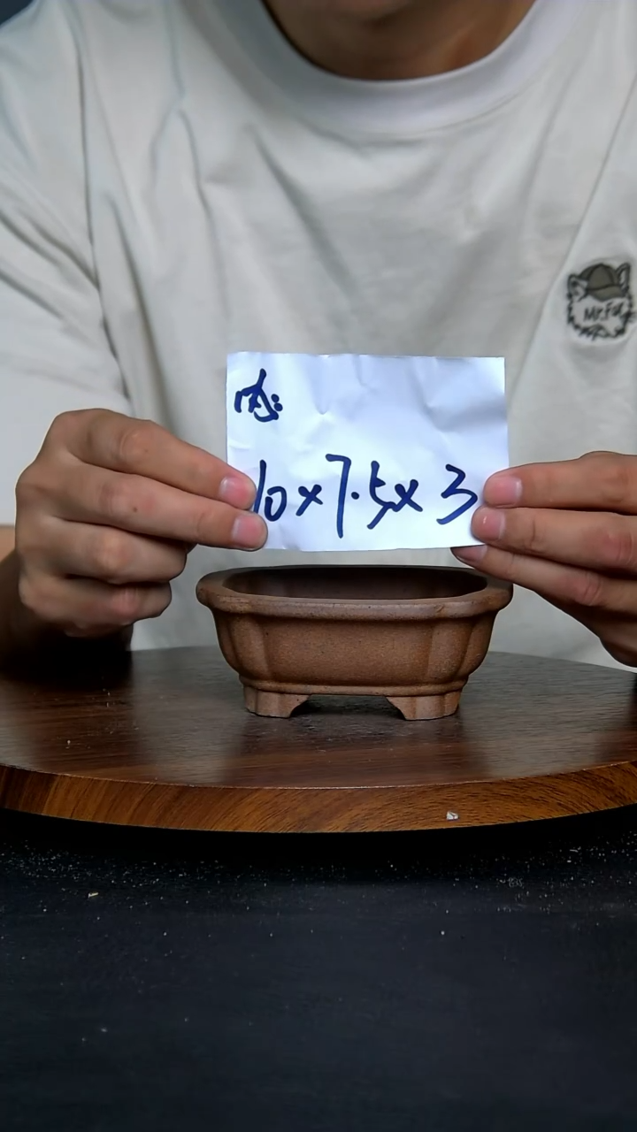 【闪购商品】紫砂20CM以下柴烧海棠马槽