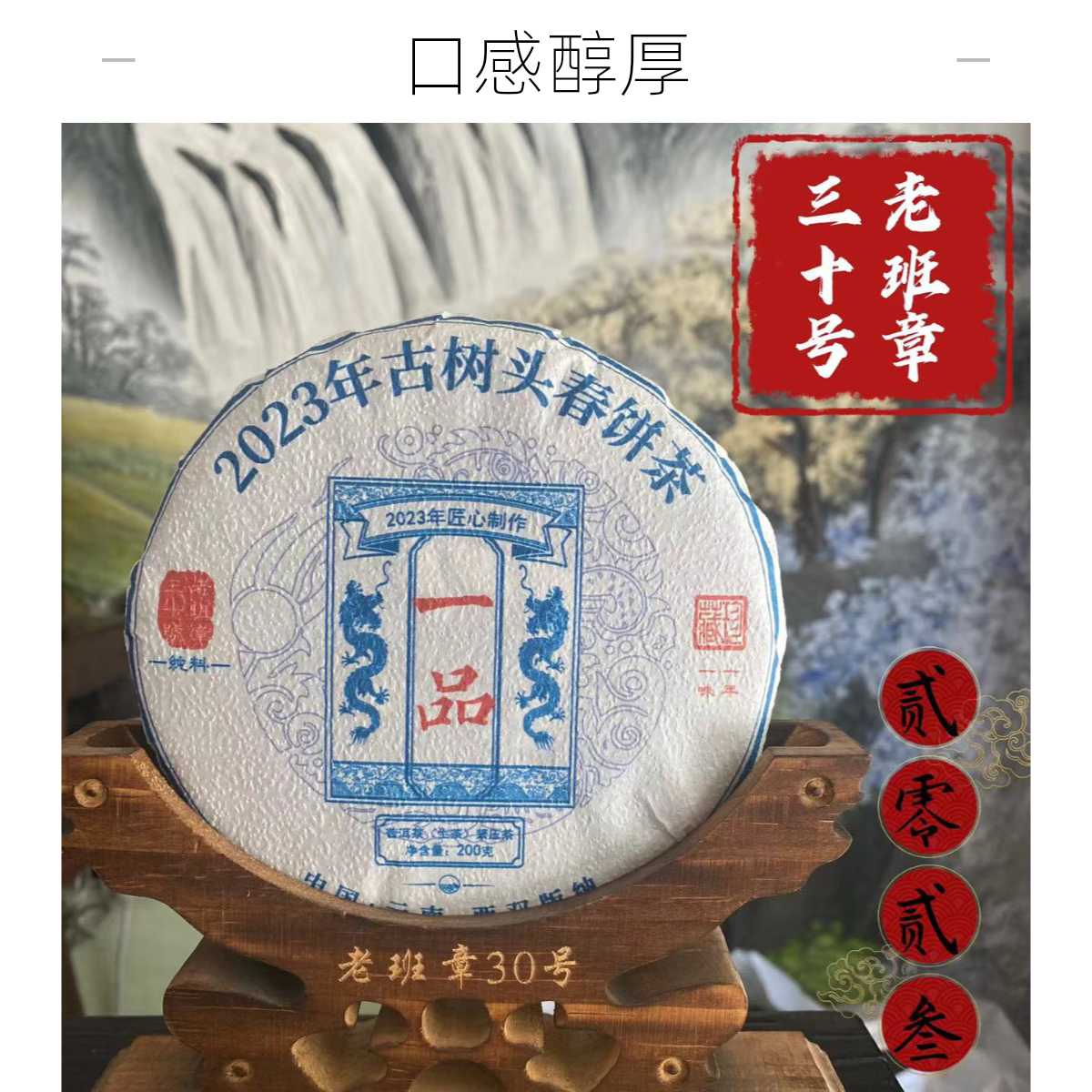 【老班章30号】2023年头春古树一品饼茶200g （树龄200-300)