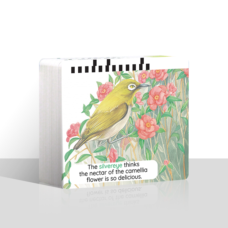 【福利品】宾果儿童自然科学单词卡（100张）