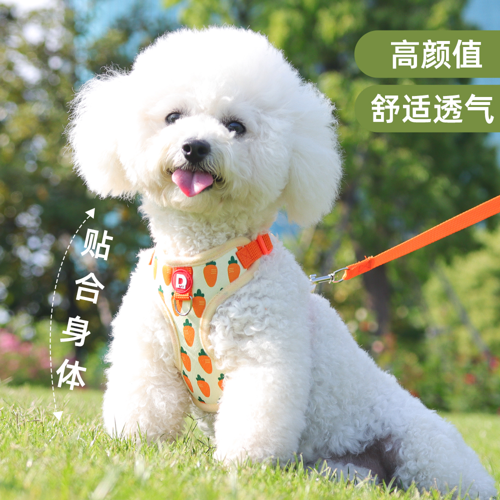 朵猫猫胸背牵引绳犬猫通用可调节中小型犬狗绳泰迪防爆冲出行牵引