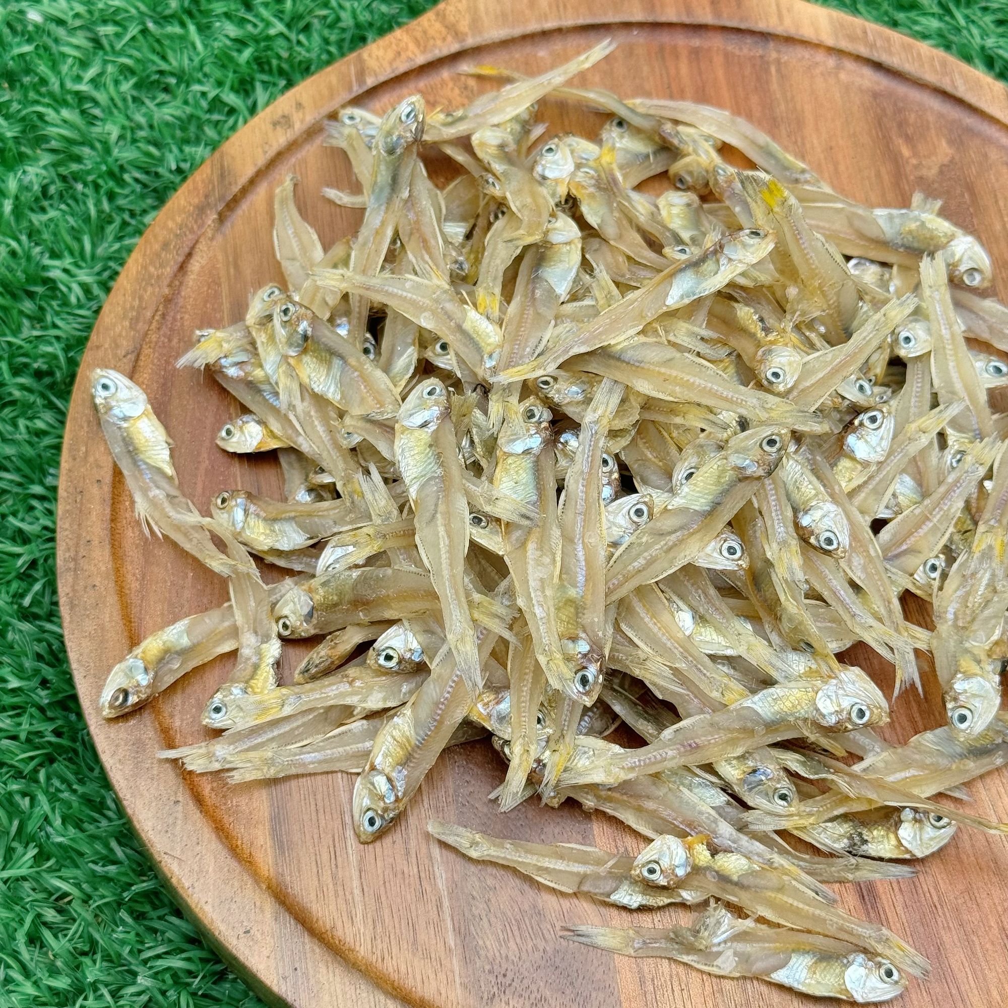 广东本港海鱼白帆鱼干公鱼仔小鱼干海产干货  支持试吃