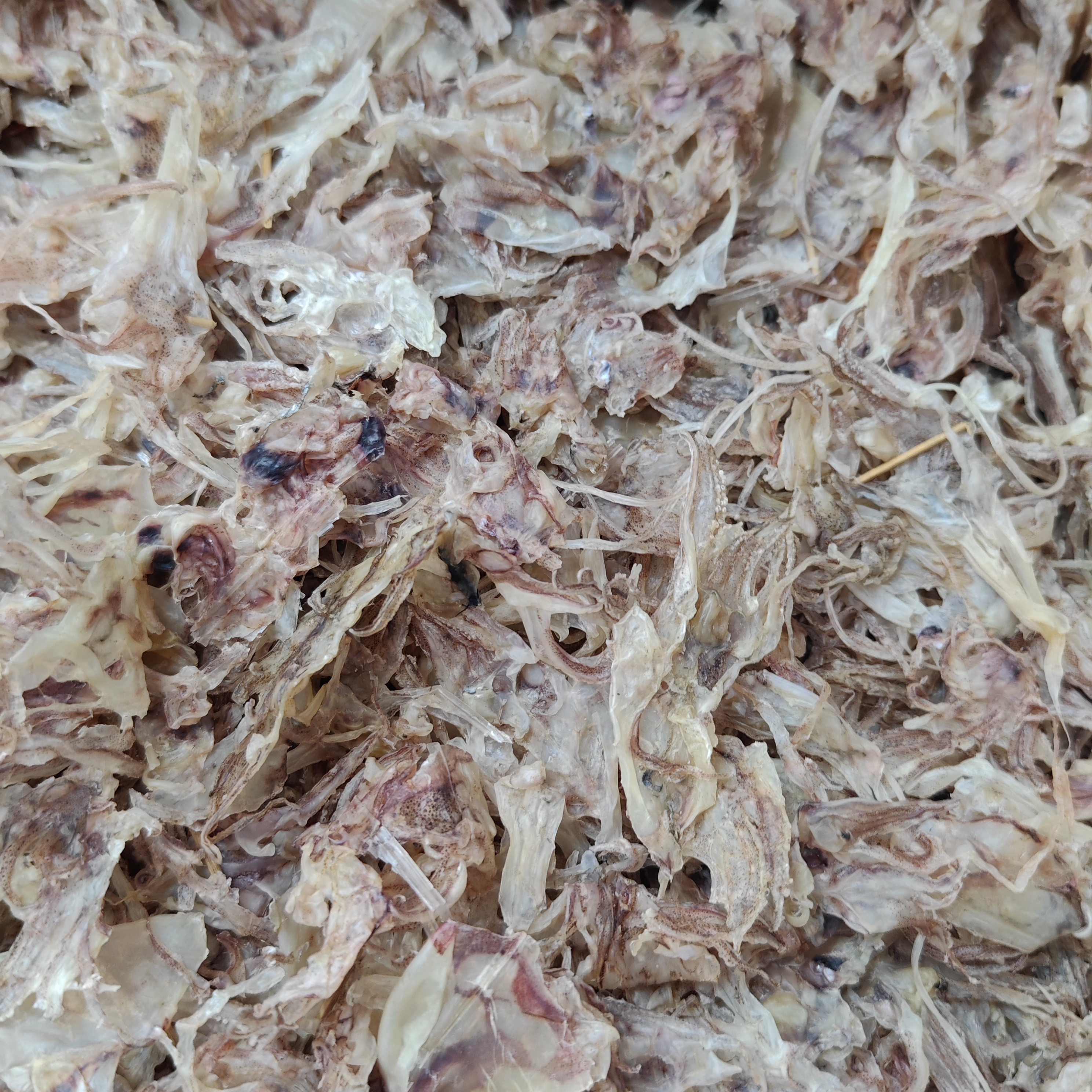 本港大号鱿鱼头淡晒