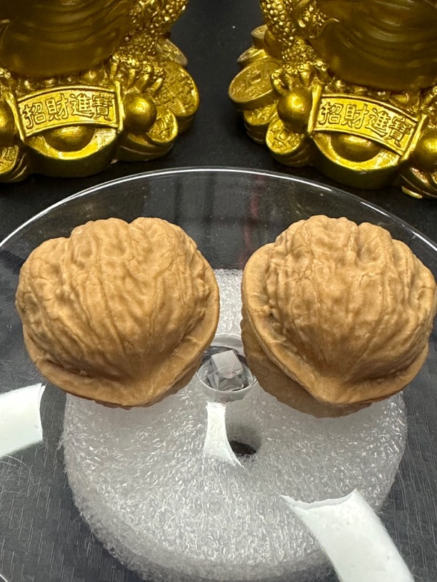 涿鹿纯野生秋子小手捻