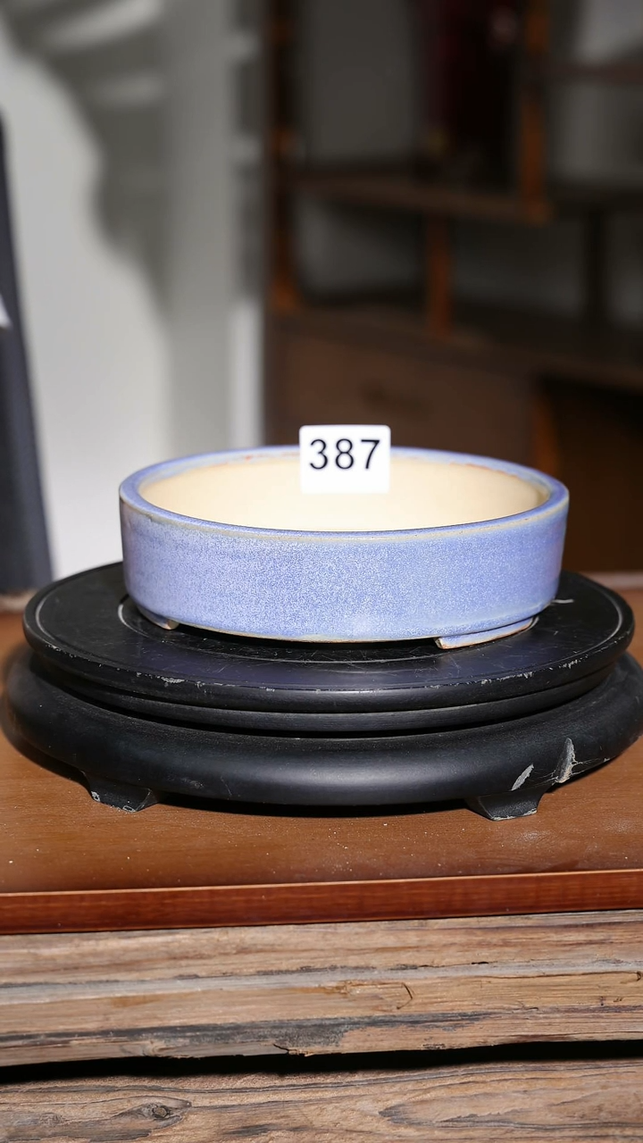 【闪购商品】红陶20CM以下387