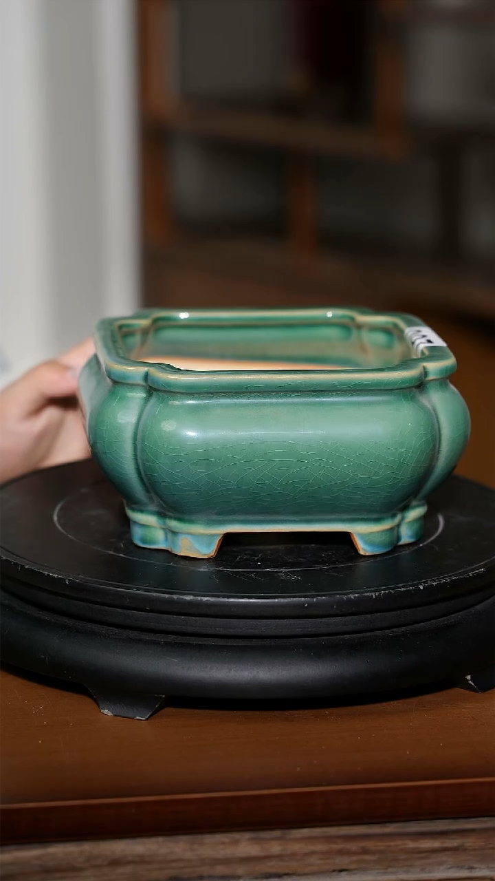 【闪购商品】红陶20CM以下097