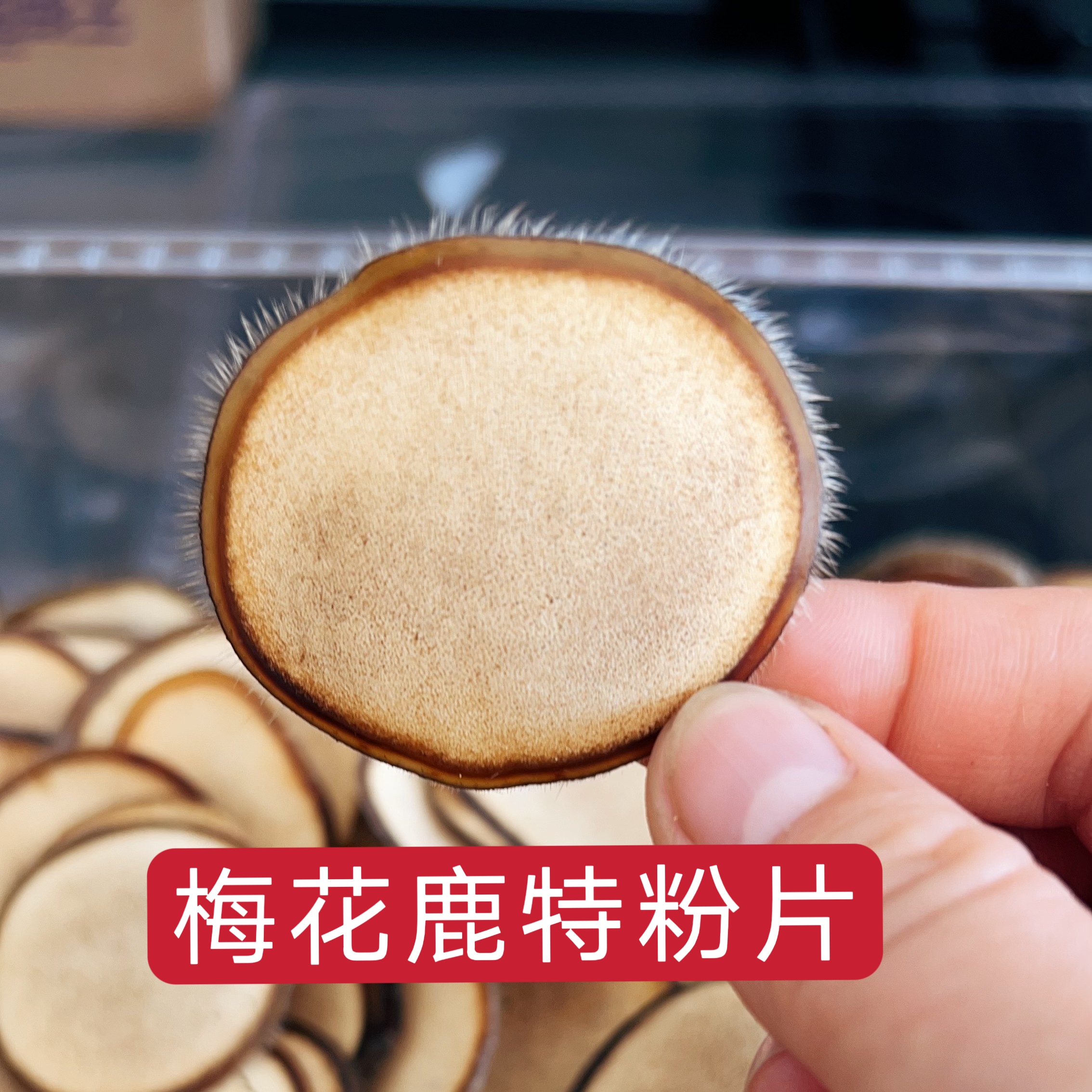 【梅花鹿】头茬鹿茸特粉片带腊圈泡水煲汤炖菜打粉10克