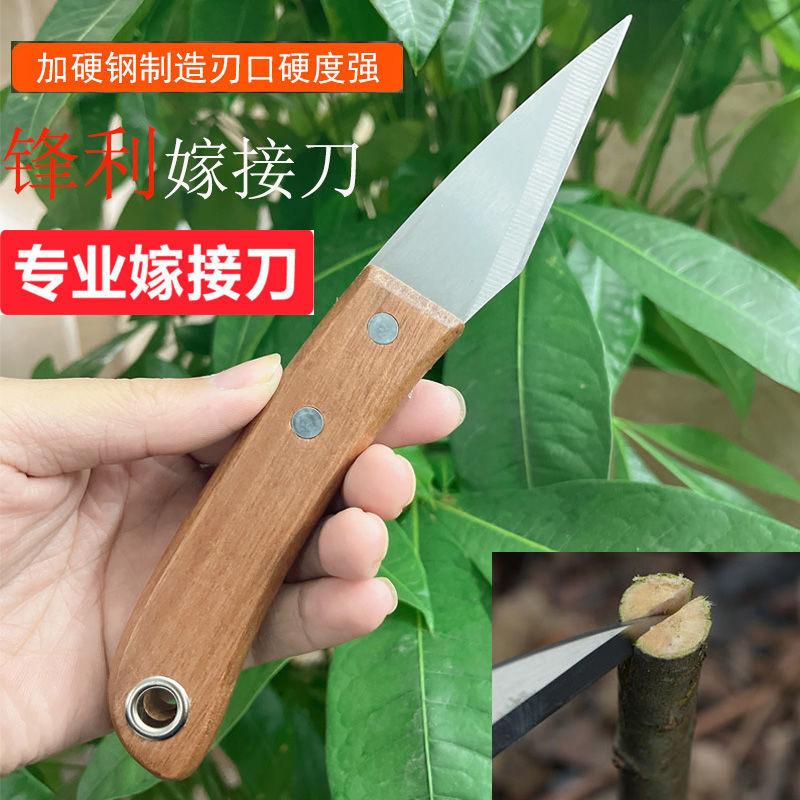 芽接刀果树嫁接刀专用手工嫁接神器特种钢园艺园林工具多功能小刀