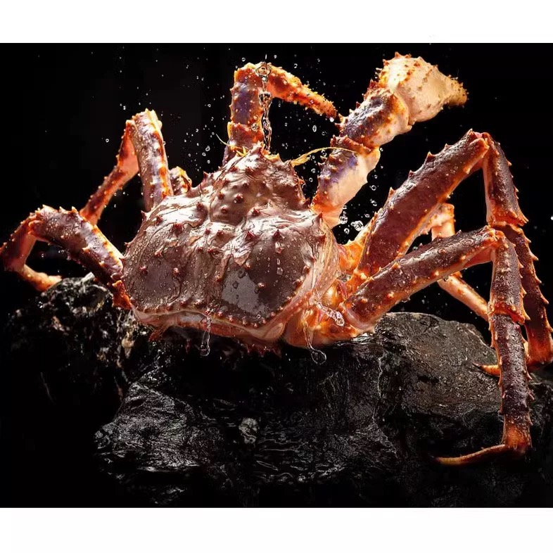 帝王蟹面包蟹松叶蟹澳龙波龙鳌虾刺身甜虾更多鱼类套餐