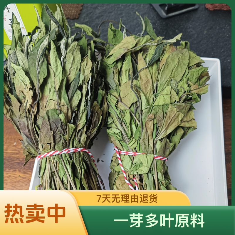 捆捆茶荒野寿眉2023年福鼎管阳核心产区高山白茶春季花香枞韵