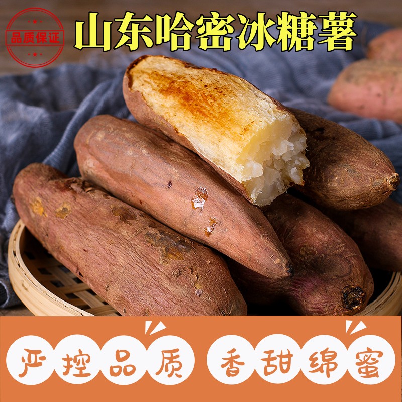 于胖子 冰糖蜜薯 哈密薯 粉糯蜜甜 可蒸可烤 4.5斤装