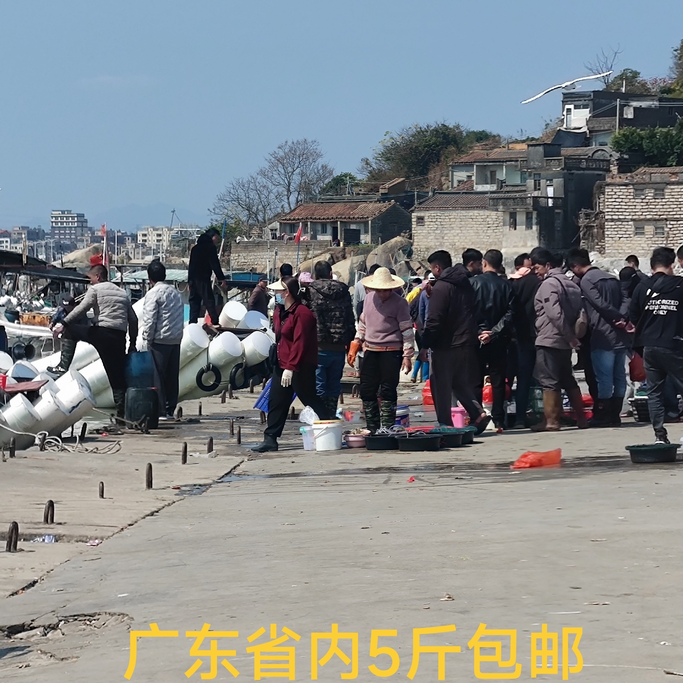 码头直播现场1临时链接鱼货混搭套餐