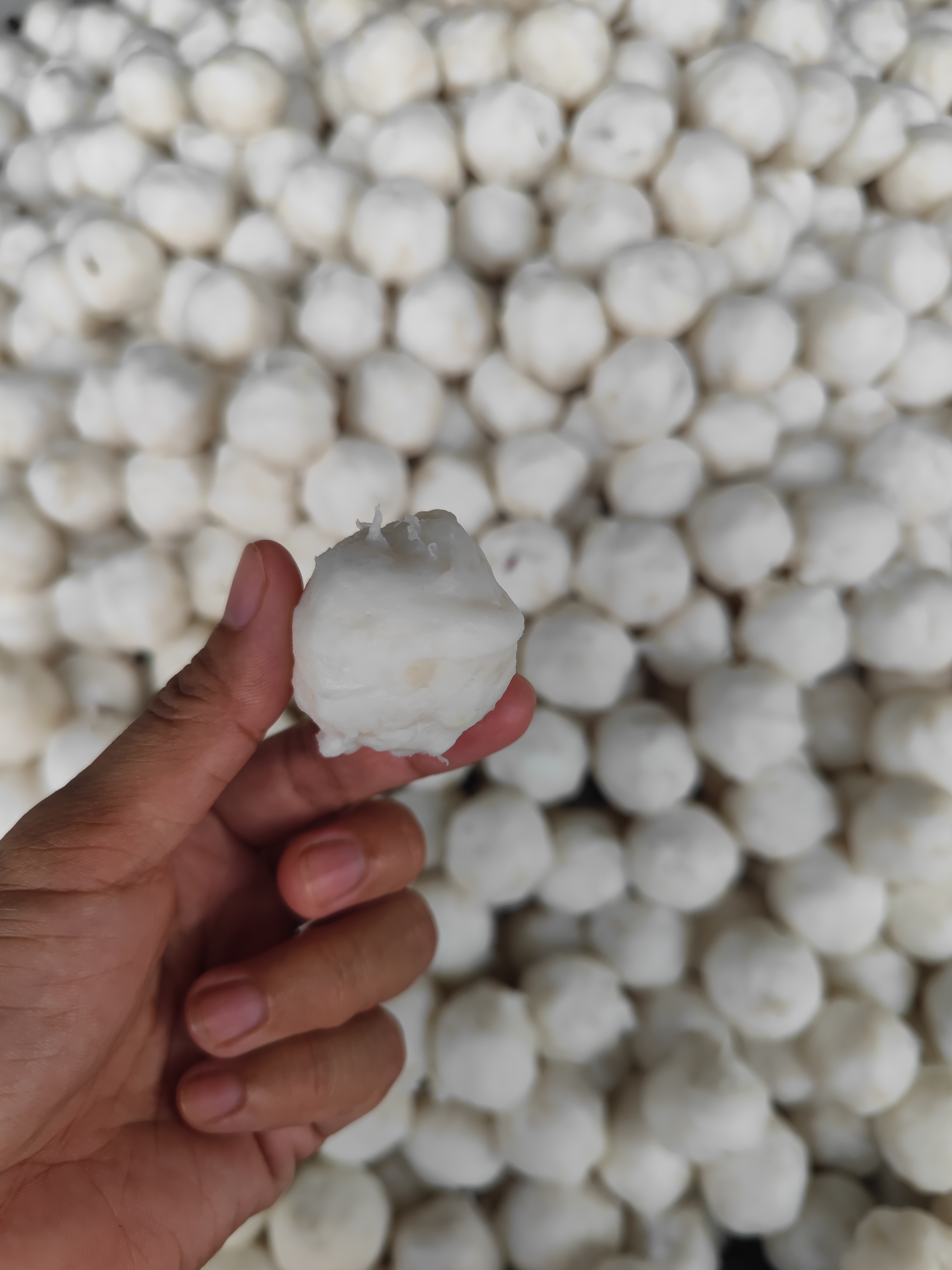 神泉本港手工墨鱼丸