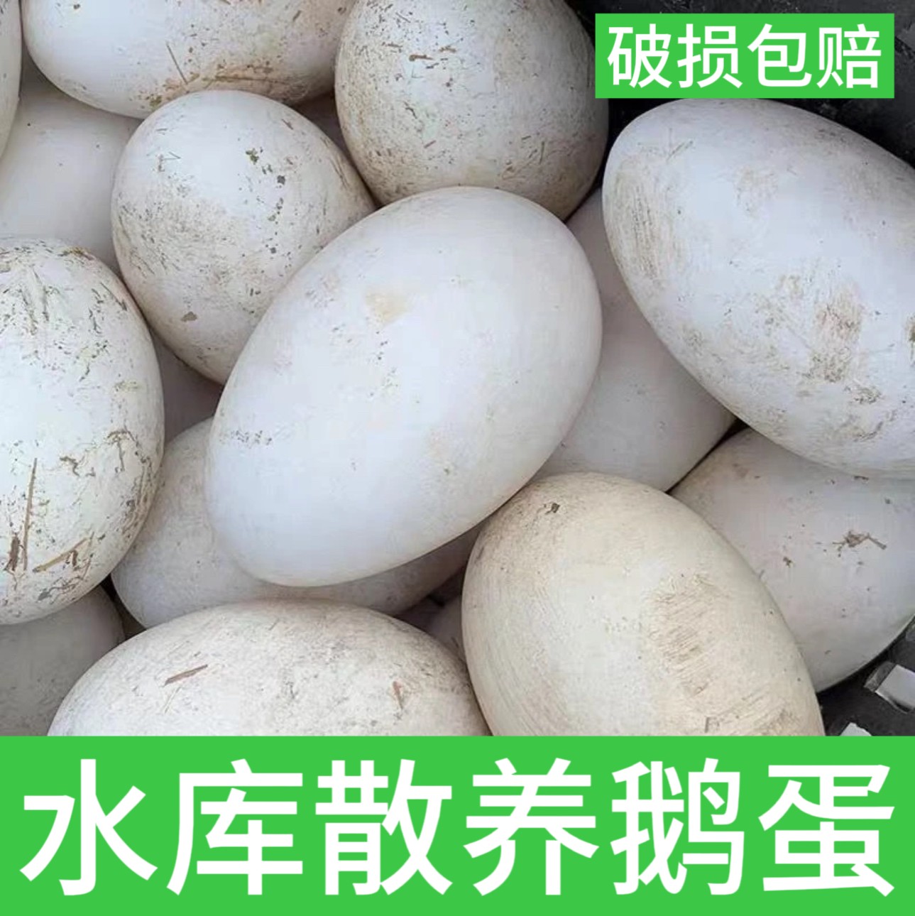 种蛋大三花鹅蛋包6-70%受精率12枚可孵化土鹅蛋保真现捡