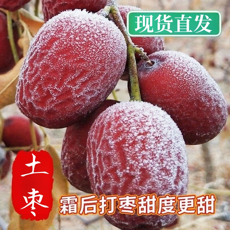 【霜打枣】新疆原生态灰枣未清洗原生态吊干精选红枣带灰枣皮薄