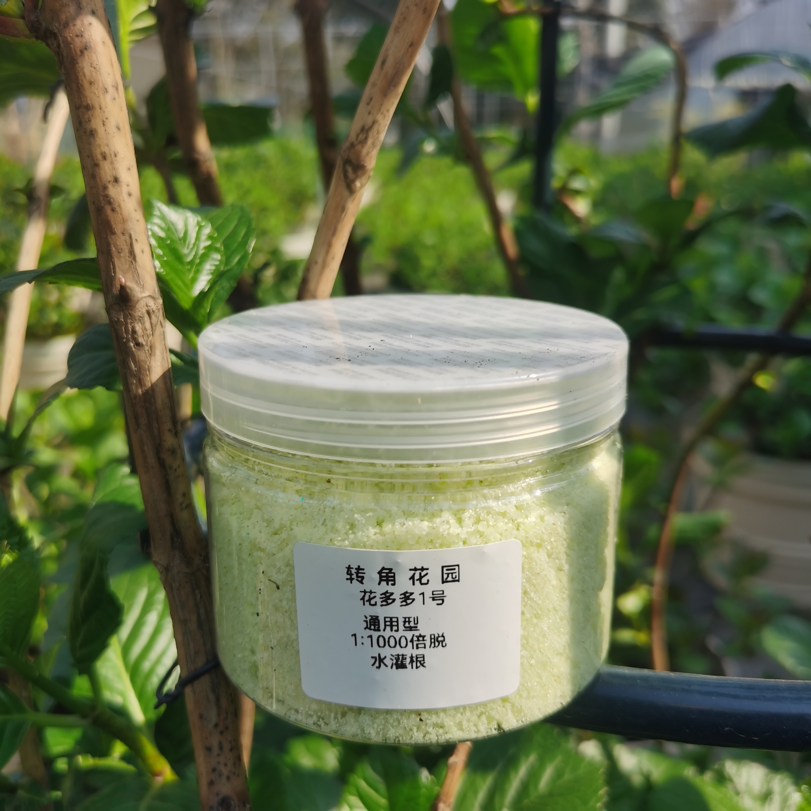 转角花园#基地自用分装进口花多多花卉通用水溶速效 奥绿缓释肥