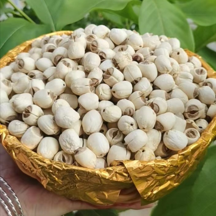莲子干货500g 新鲜莲子去芯 磨皮