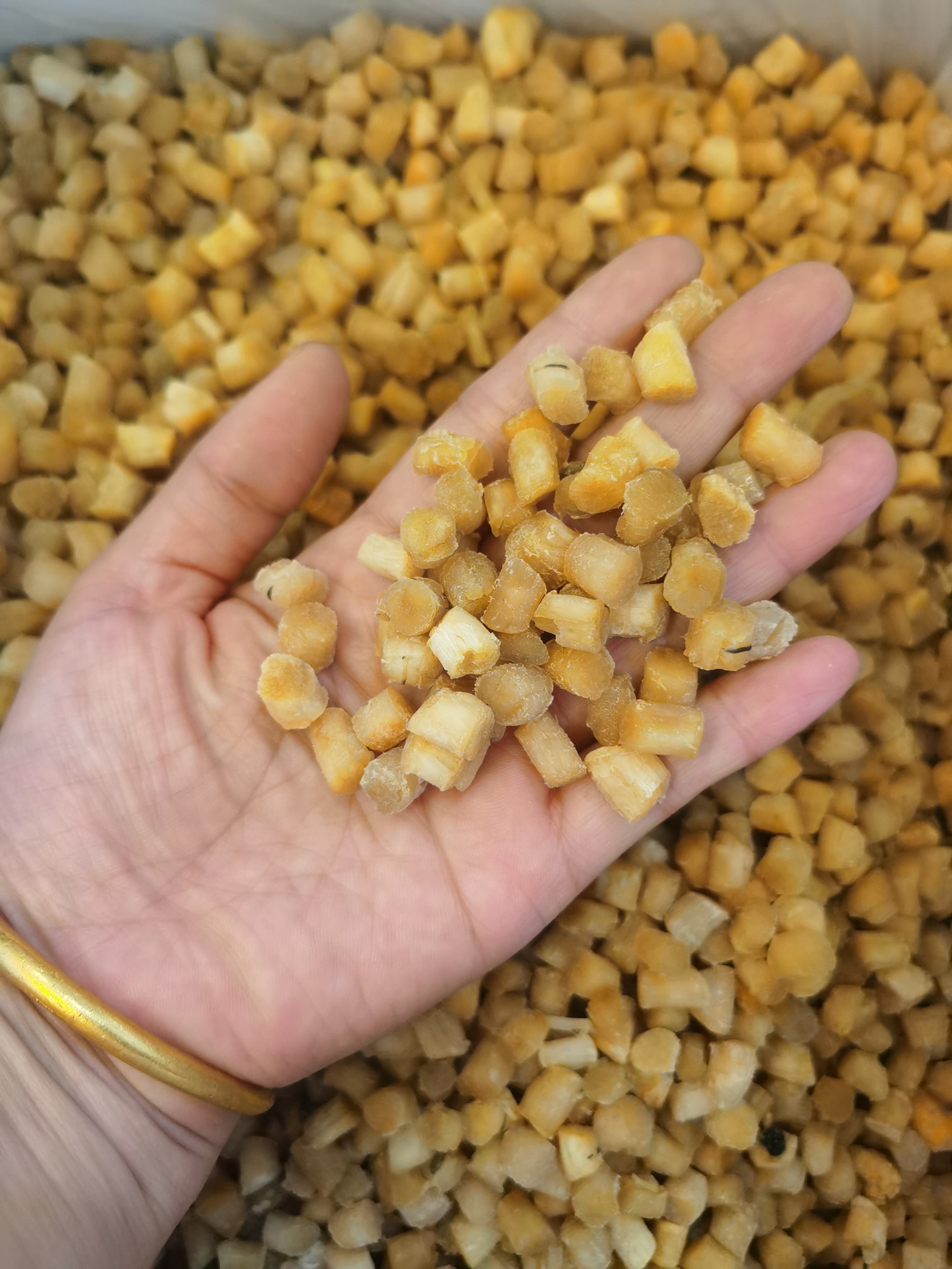 大小姐推荐 新大连干贝500g起拍