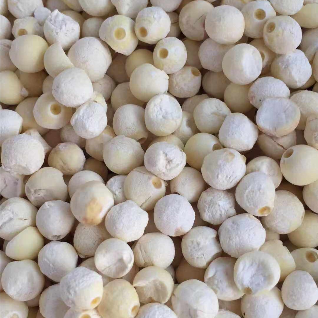 正宗苏州苏芡干货 鸡头米500g （务必冷冻储存）