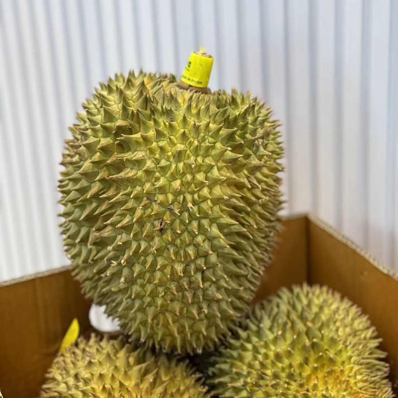 特级树熟金枕鲜榴莲核小六号链接（一果一重）榴莲小时达金枕越南