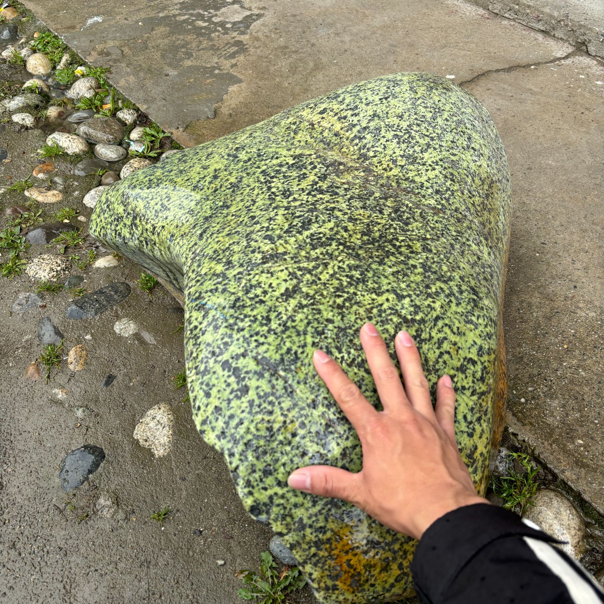 西藏雅鲁藏布江藏玉奇石