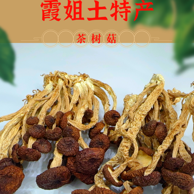 【霞姐茶树菇】精选新鲜茶树菇香菇冬菇菌菇清炒煲汤食用土特产