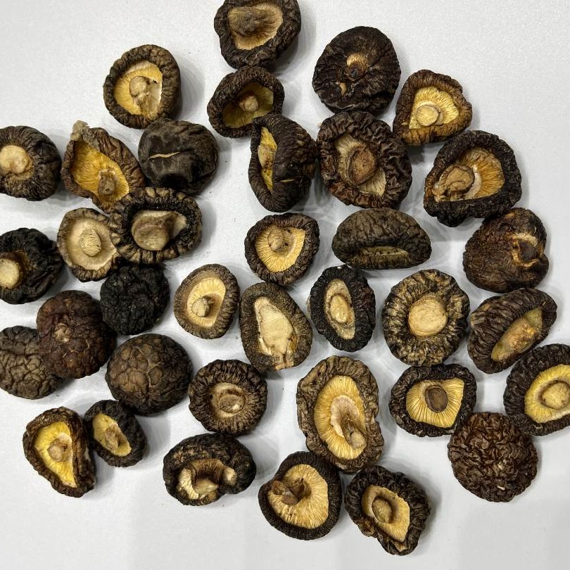 【霞姐小香菇】农家高山食用菌小香菇金钱菇土特产