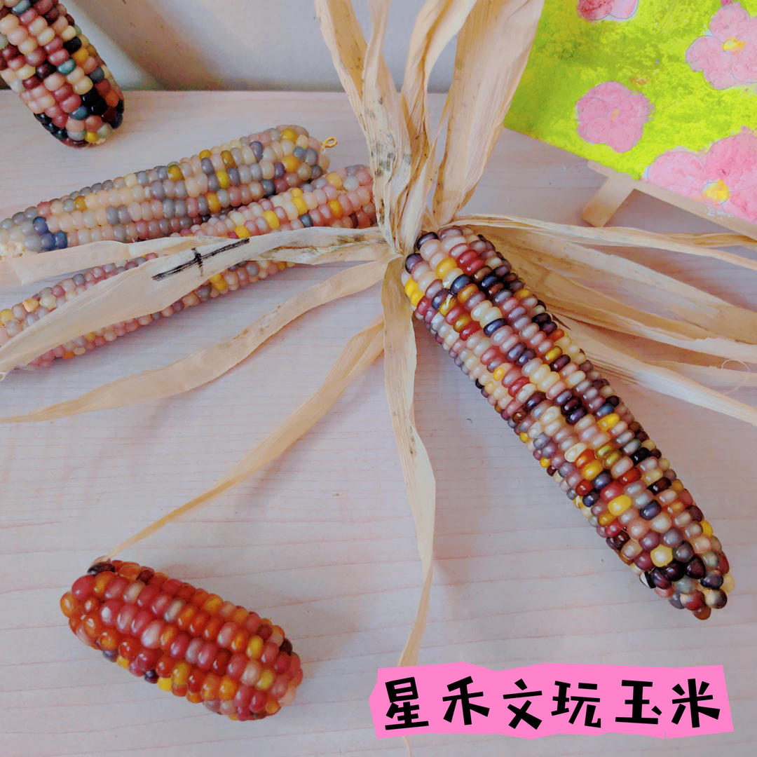 5星禾文玩玉米直播间专拍