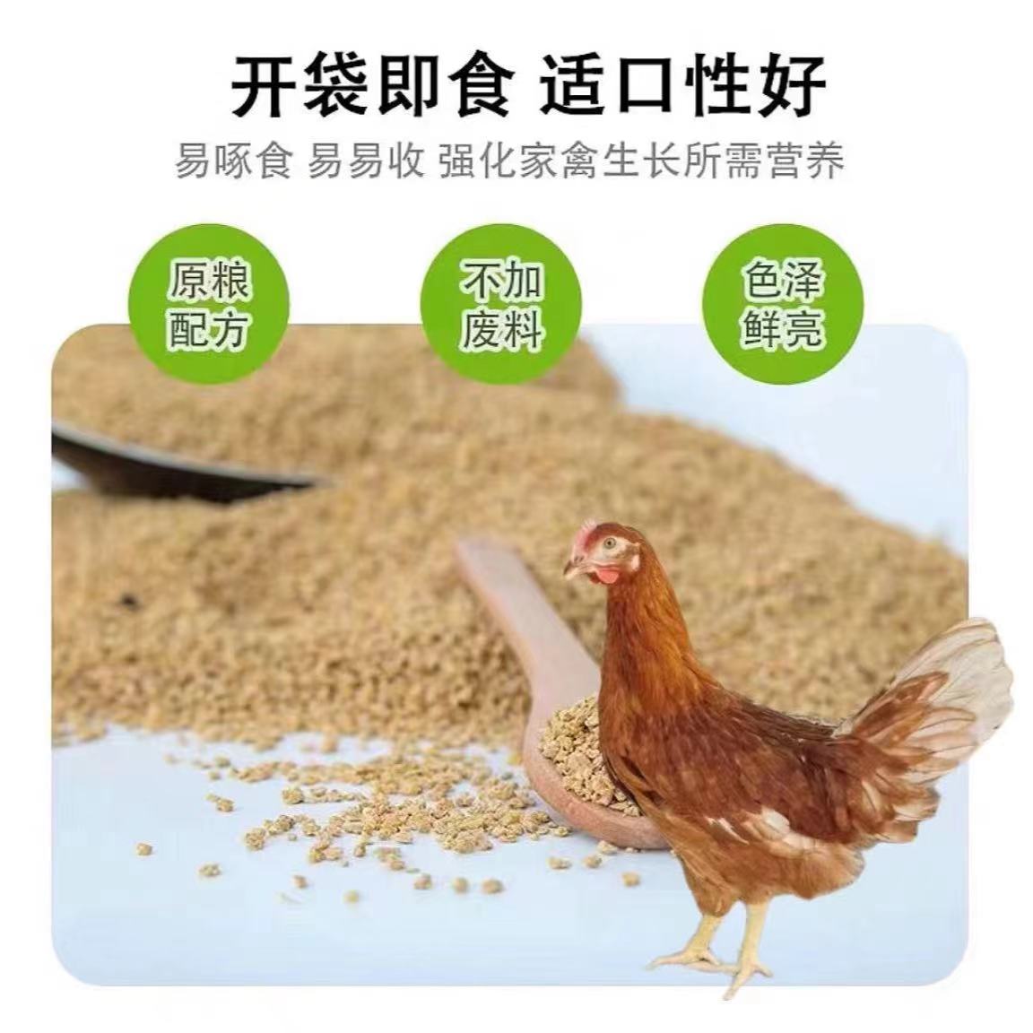 海兰褐蛋鸡营养饲料