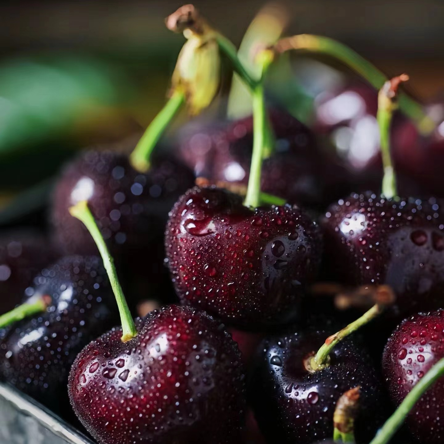 【W翠宝宝】波板海运科迪亚2J车厘子 5斤 只发川渝 内附果径卡