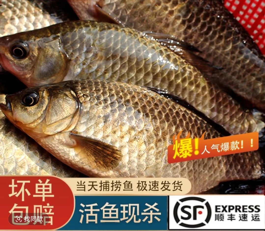 湖北农家菜藕坑滴