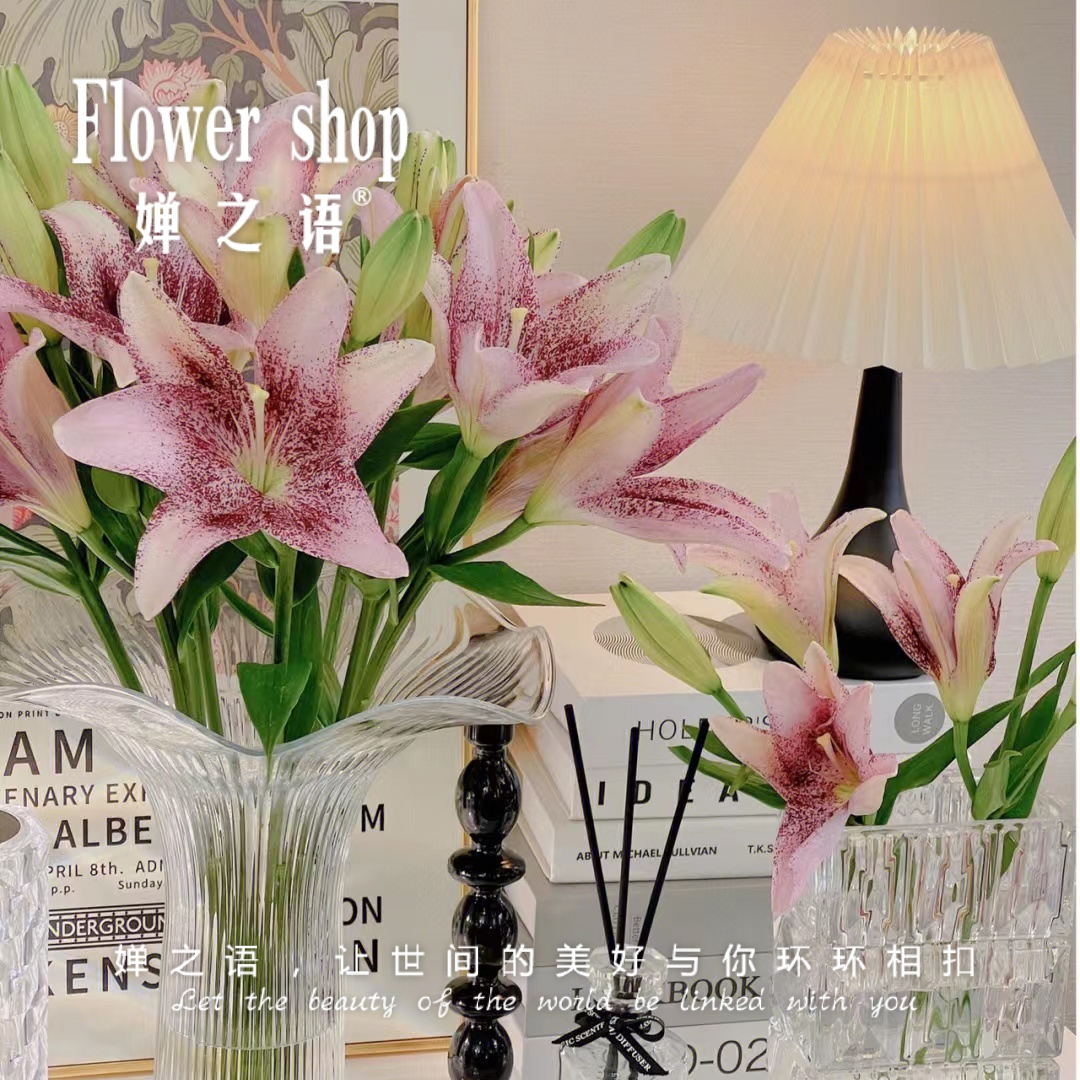 优选粉天使亚百合小花苞无香型香水百合