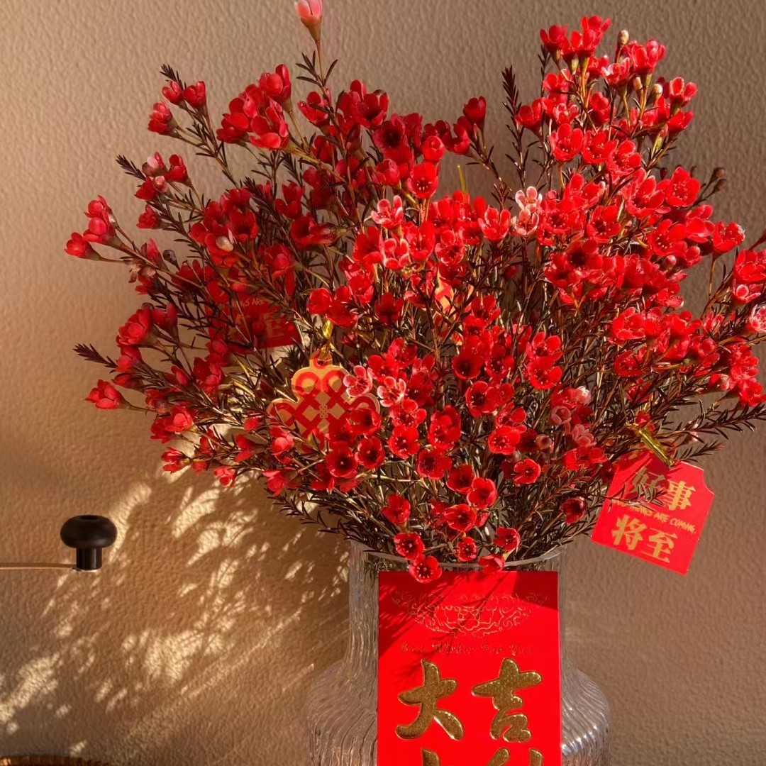 婵之语优选鲜切花澳州腊梅