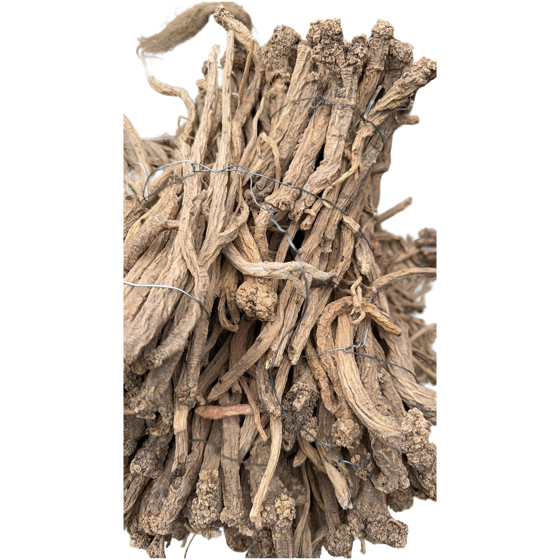 靠农庄甘肃野生党参·煲汤泡水煲汤