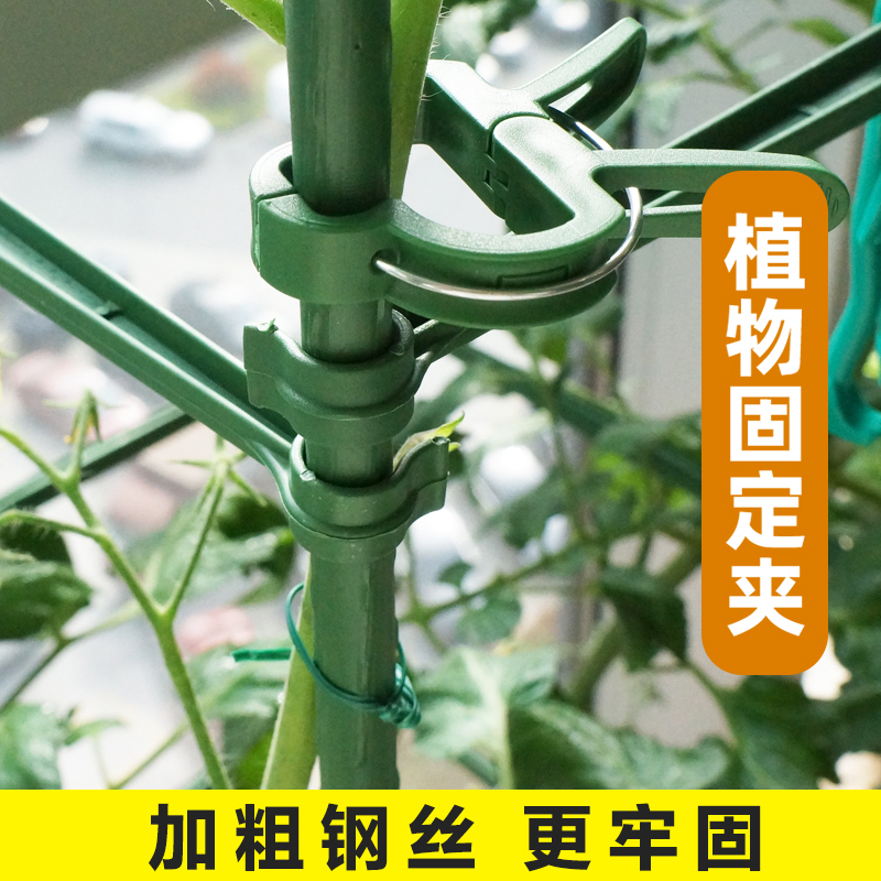 【园艺用品】植物固定夹子