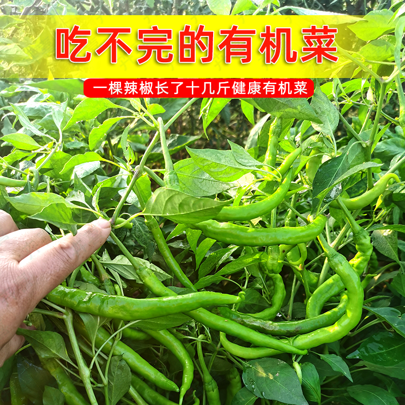 肉粉豆粕肥蔬菜植物通用型绿植种菜专用肥料有机园艺盆栽花卉