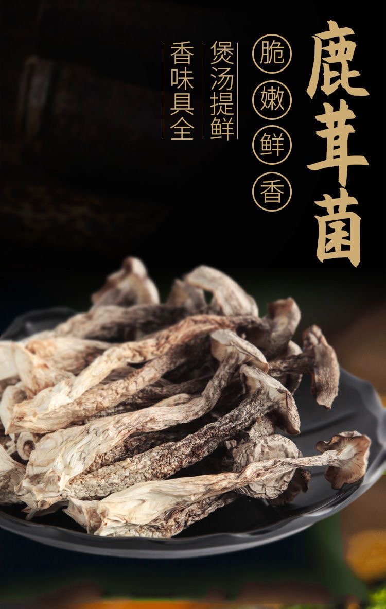 鹿茸菇精选当季新鲜A货头茬菇干货鲜香脆嫩爽口爆炒炖汤（新货）
