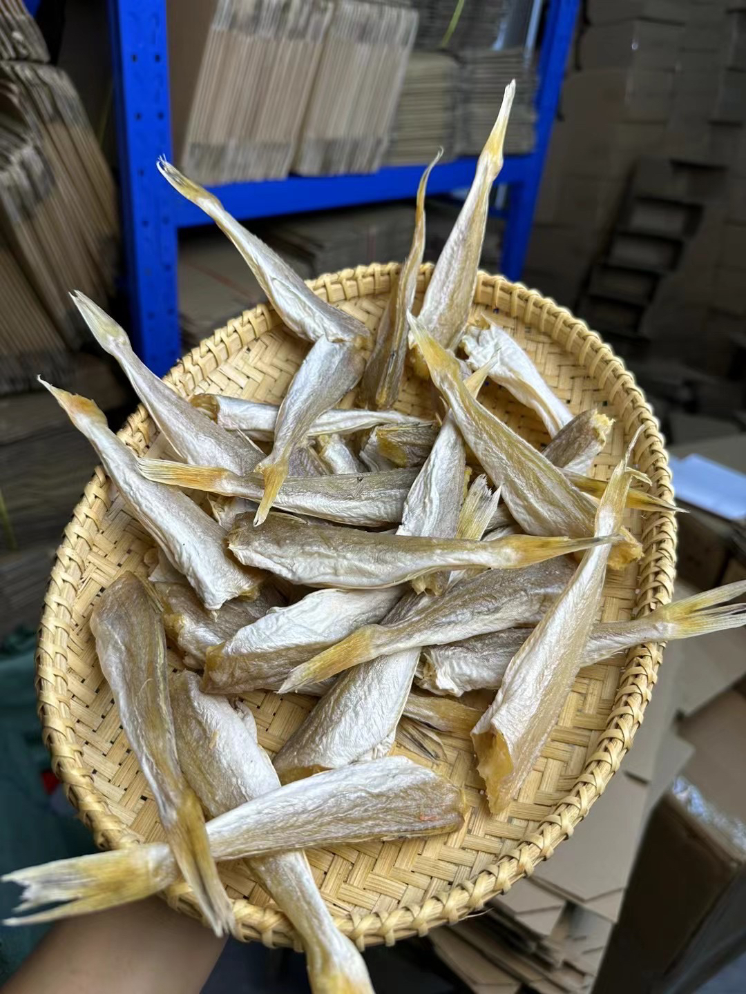 渔民自晒角鱼条500g/1000g