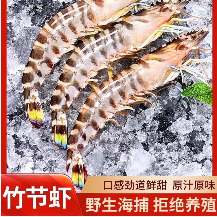 野生竹节虾/九节虾/斑节虾2斤(45只左右一斤 ) 鲜虾速冻顺丰