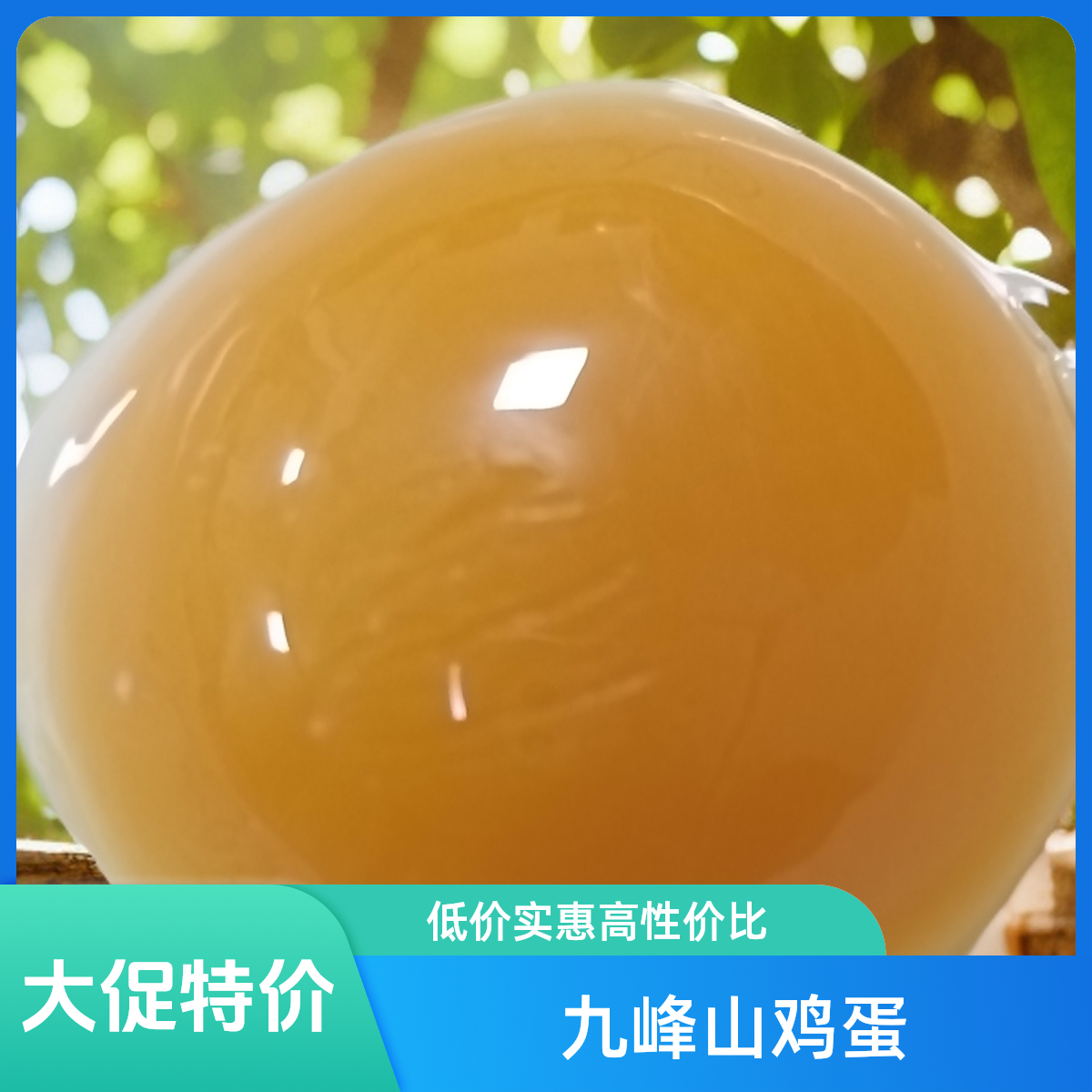 初生土鸡蛋(10枚黄壳）