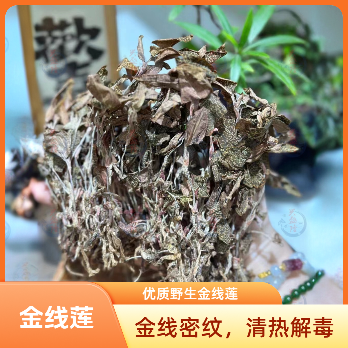 【兴盛隆】福建南靖优质金线莲野生茶饮