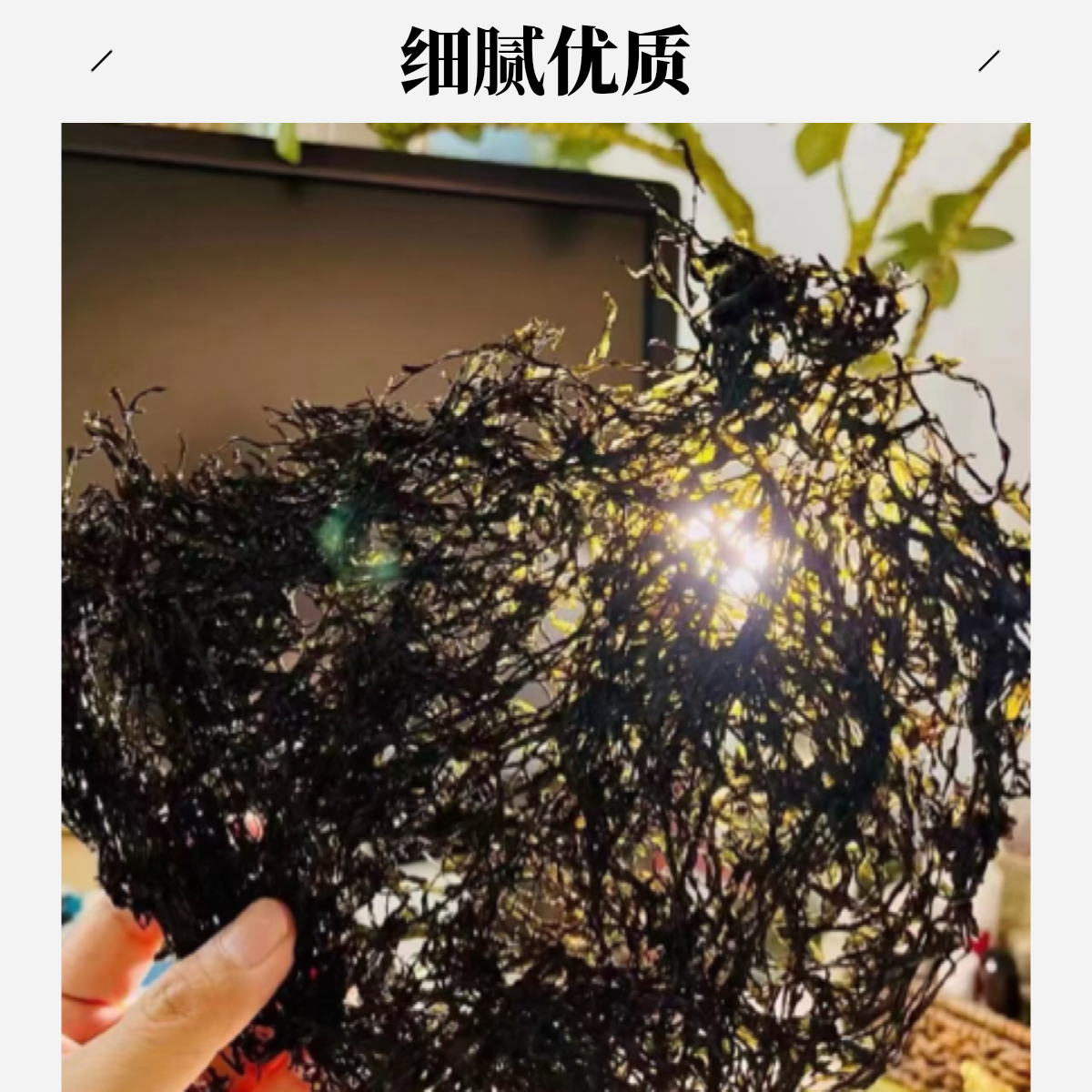 【兴盛隆】霞浦新货头水紫菜干货细腻