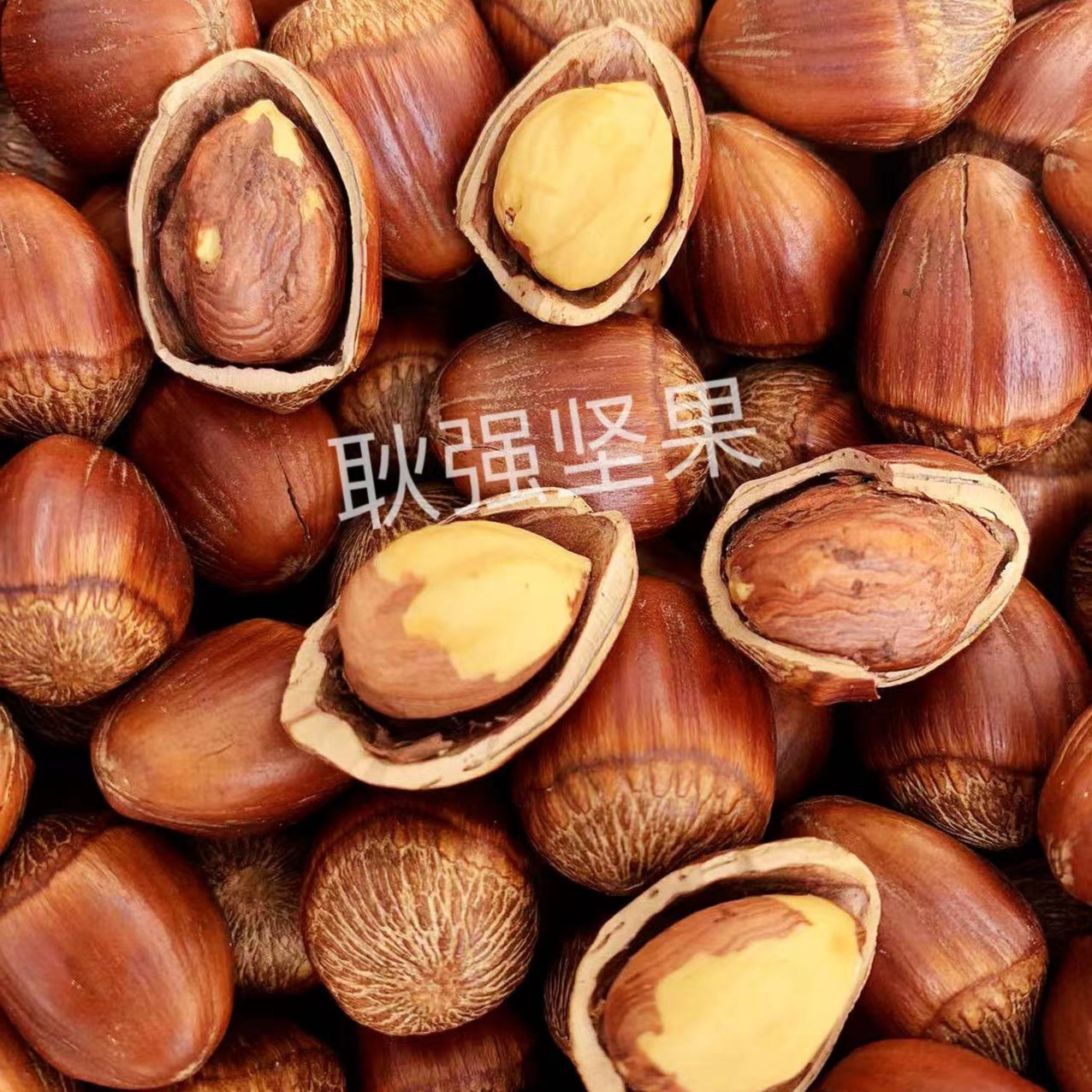 送红夹子，新货东北大果榛子 营养美味，红夹子