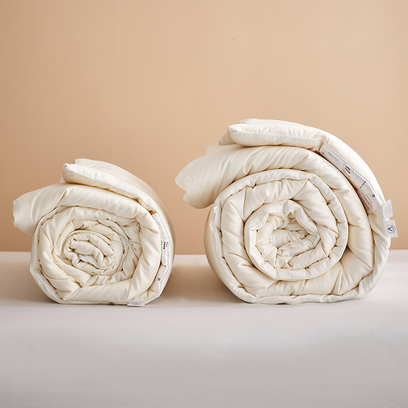(过款链接)大豆被春秋被冬被学生被宿舍被被芯填充轻盈舒适