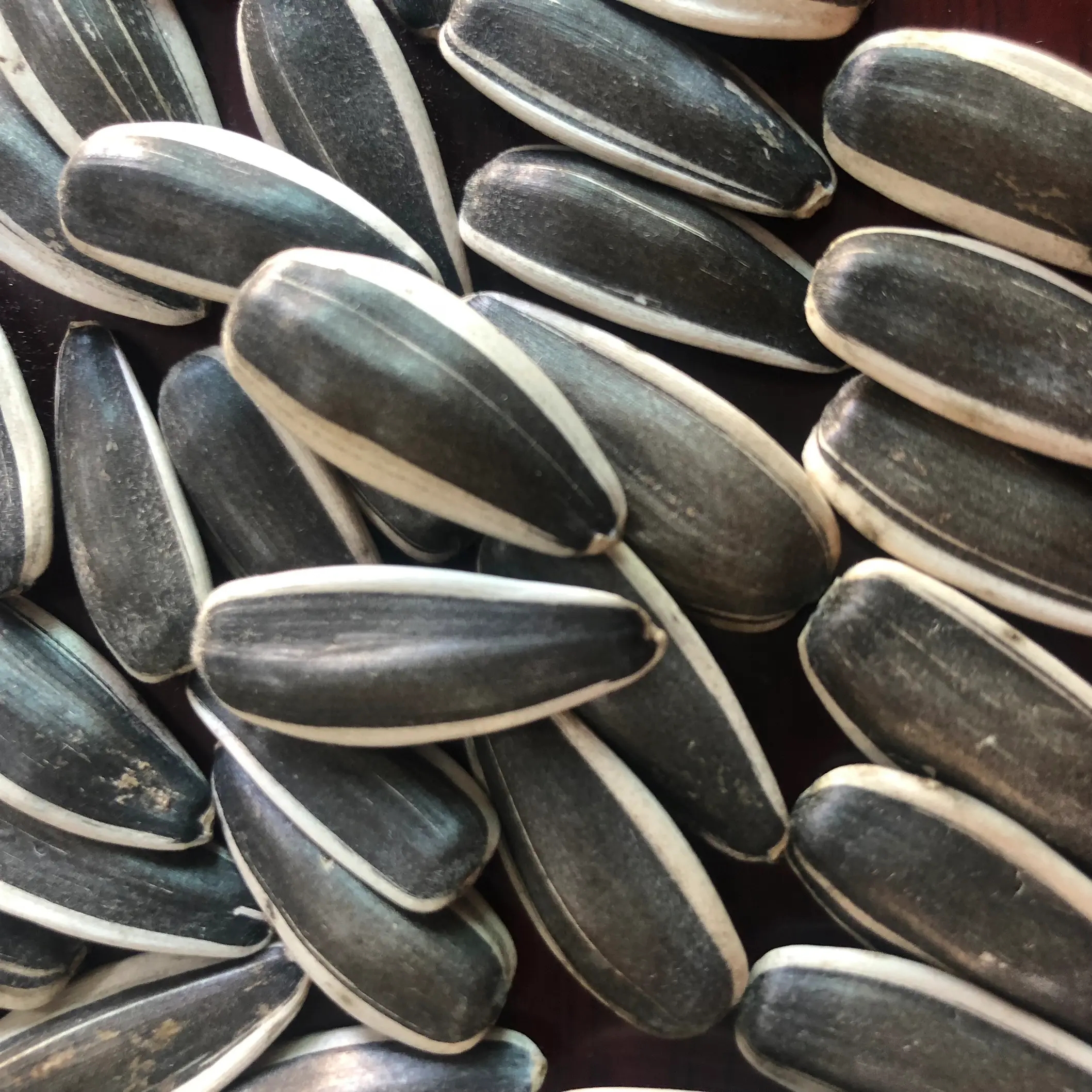 【葵花籽年货节】大颗粒原香瓜子手抓包200g新人试吃福利营养食用