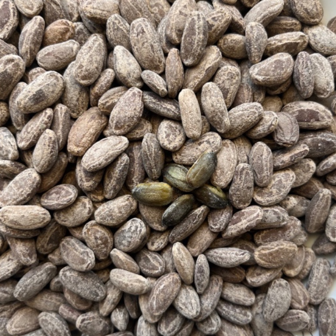 〖吊瓜子福利〗吊瓜子奶油味椒盐原味200g*2包味道好