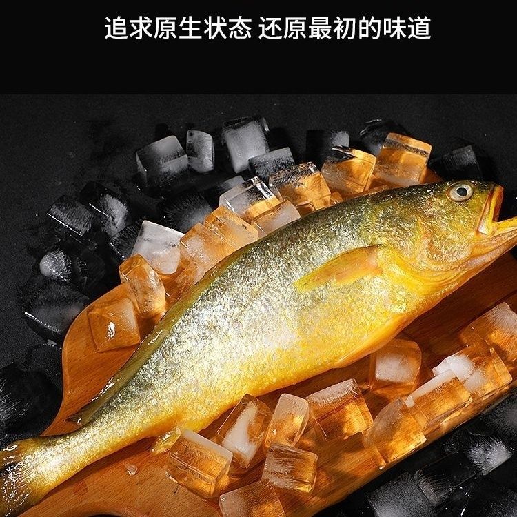 深海捕捞野生新鲜大黄鱼冷冻正宗黄花鱼冰鲜海鲜水产深海鱼烧烤