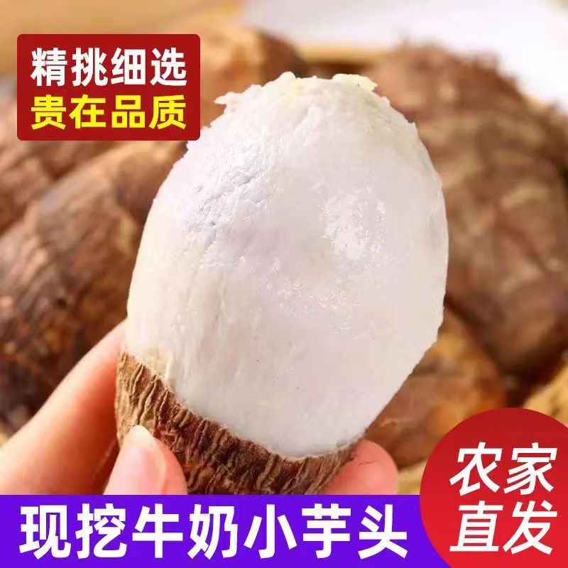 【现挖现发】云南现采牛奶小芋头香芋口感绵密丝滑香软奶香